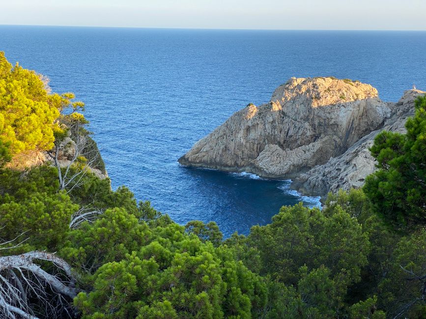 Breathtaking view of a rocky coastline with clear blue waters and lush greenery.