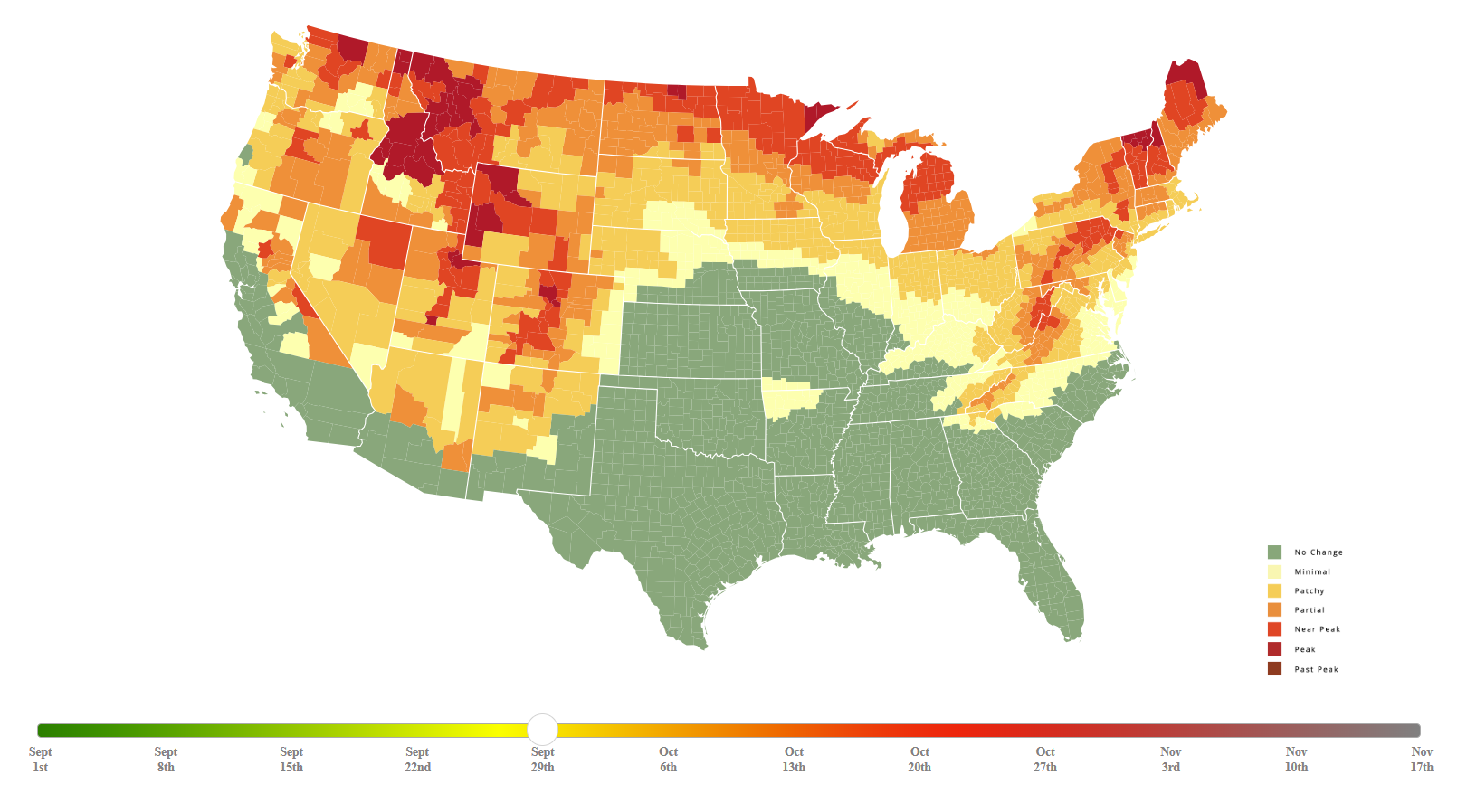 Peak Fall Foliage Timing Across the US: Regional Guide for 2026