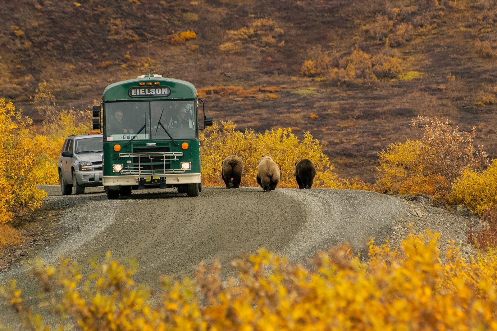 Six Alaska Cruisetour Excursions Beyond Standard Ports