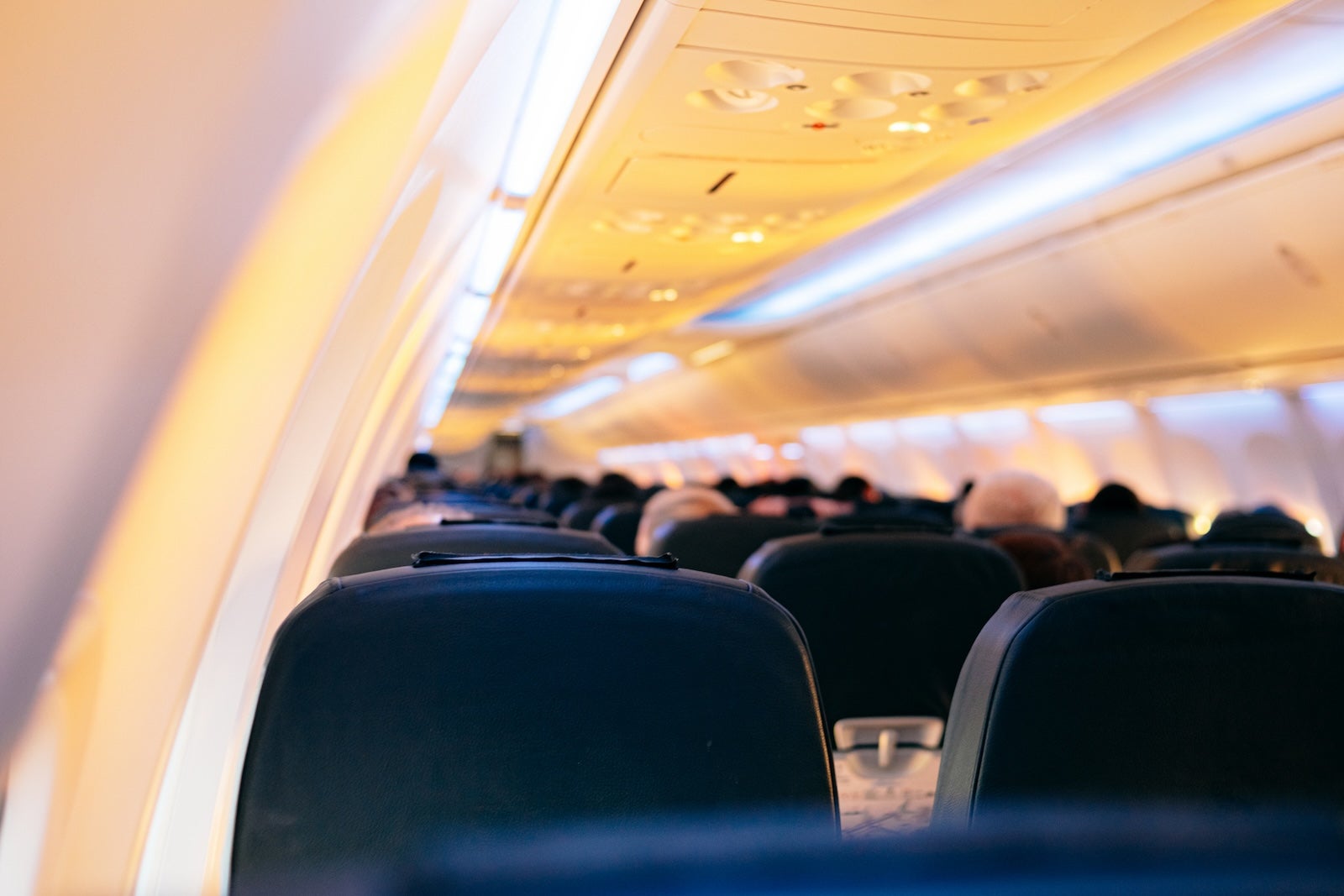 How to Avoid Getting Sick on a Plane During Flu Season